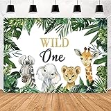 Safari Wild One Animal Primer Cumpleaños Fiesta Fondo - Jungle 1er Party Decoración Fotografía Póster Colorido